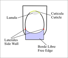 Load image into Gallery viewer, 3D Practice Sheet
